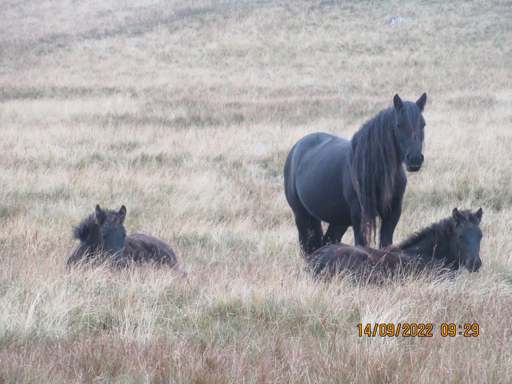 Pennine Way Diary – Day&nbsp;Eleven
