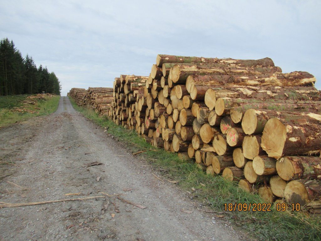 Pennine Way Diary – Day&nbsp;Fifteen