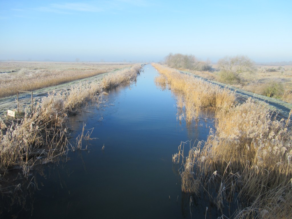 WINTER WILDLIFE AT WICKEN&nbsp;FEN