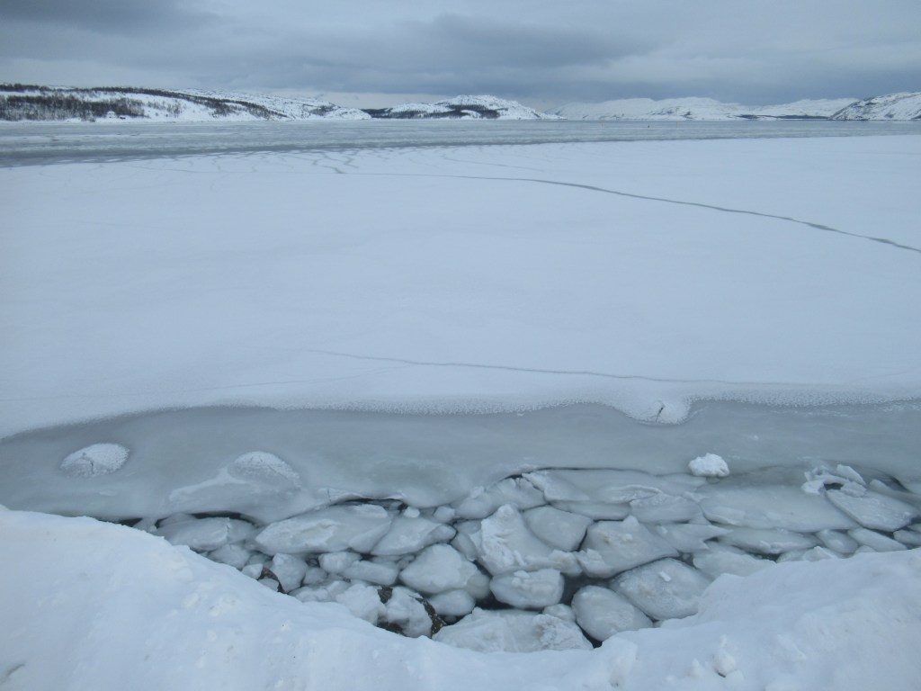 ARCTIC ENCOUNTERS – part 3 of&nbsp;3