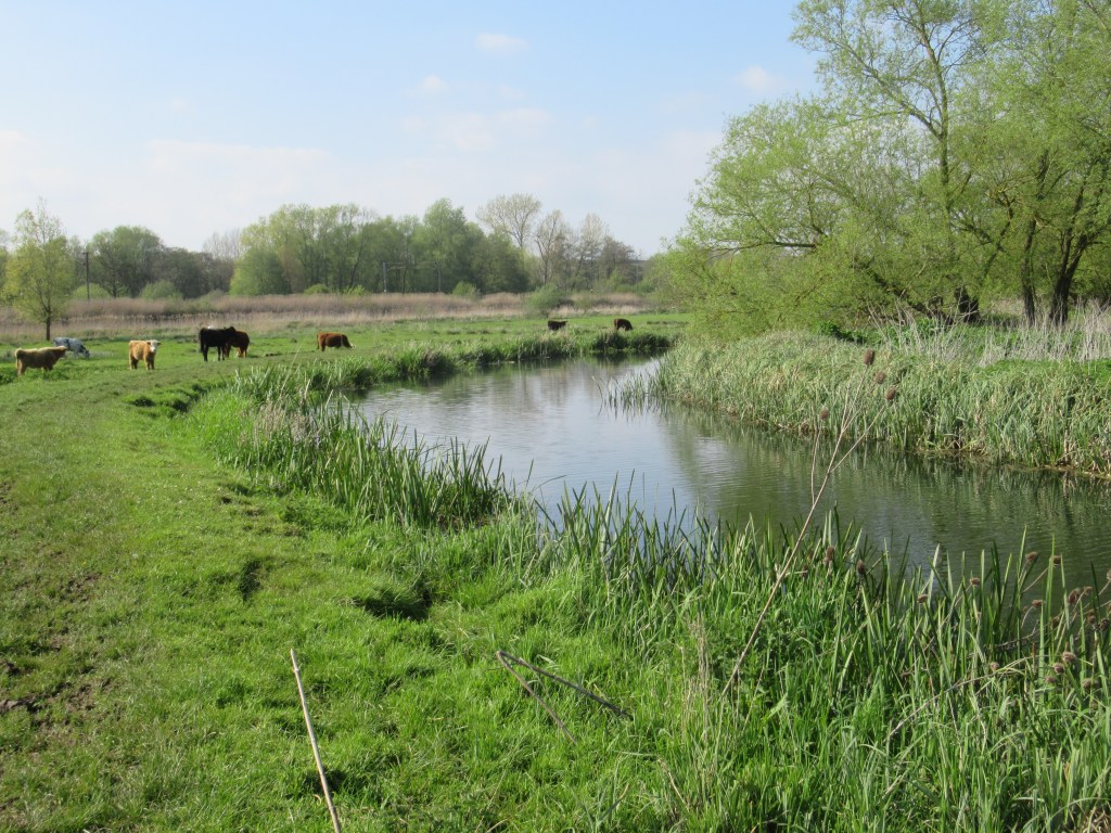 GIPPING VALLEY RIVER&nbsp;PATH
