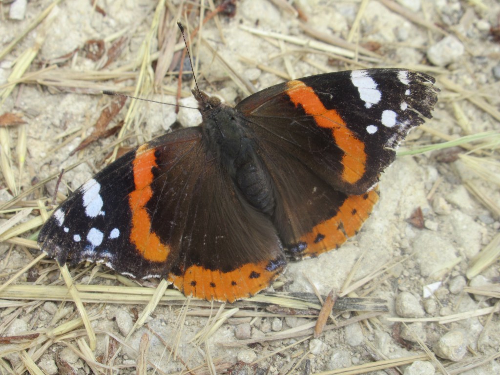 HIKING THE RIDGEWAY – day 6 of&nbsp;6