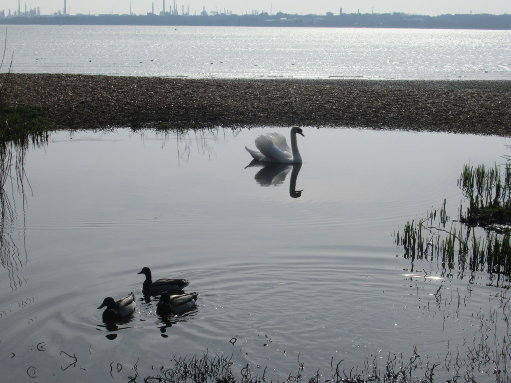 BRITISH COAST WALK – DAY&nbsp;112