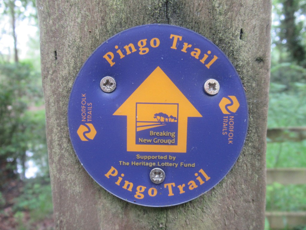ON THE PINGO&nbsp;TRAIL