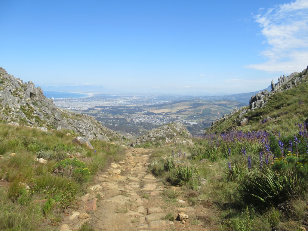 WHAT LARKS! SOUTH AFRICAN&nbsp;MEGA-BIRDING