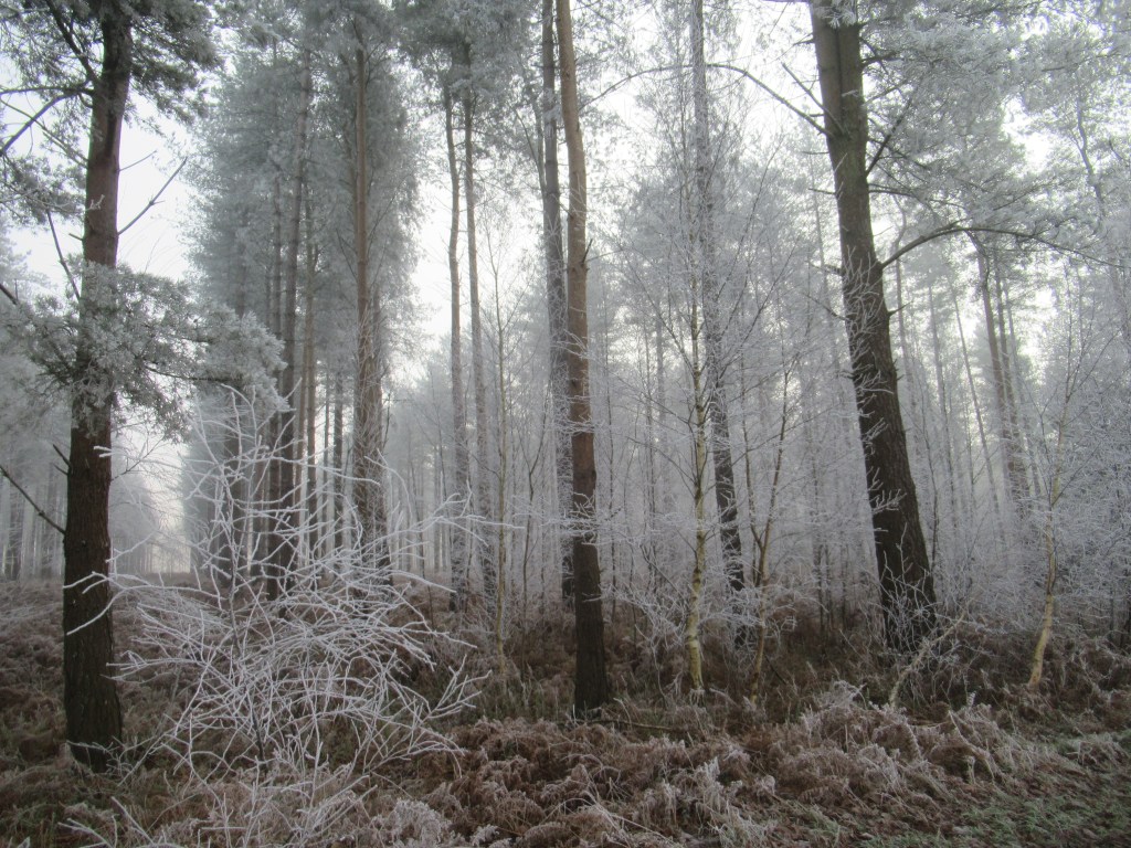 WINTER IN THE BROKEN&nbsp;LAND